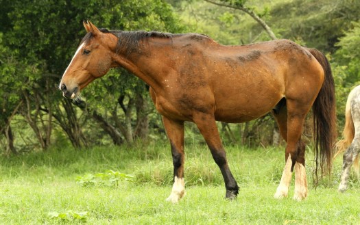 20131209 - CS3_2208 - E