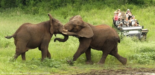 20131226 - CS3_3935 - E - THANDA