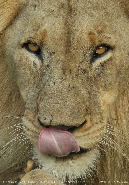 20131226 - CS3_4293 - E - THANDA