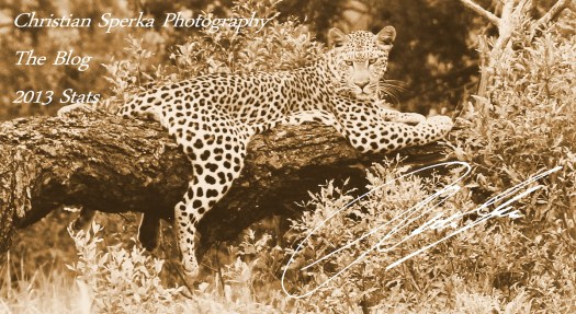 20131219 - CS3_2444 - BLOG