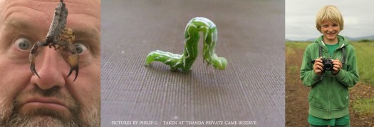 20131229 - Collage 1726