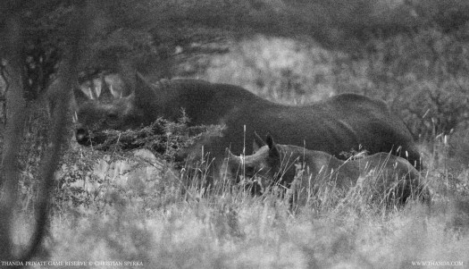 20140127 - CS2_7330 - E - THANDA