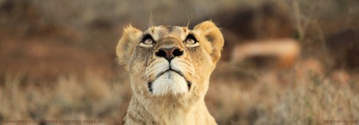 20130904 - CS3_7856 - E - THANDA