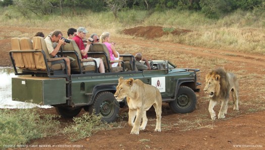 20140204 - CS1_9738 - E - THANDA