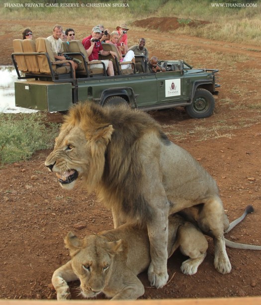 20140204 - CS1_9755 - E - THANDA