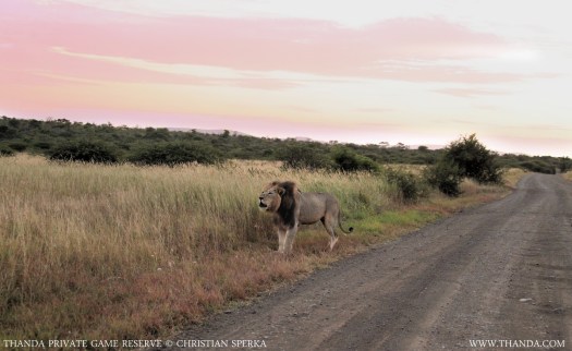 20140222 - CS1_1210 - E - THANDA