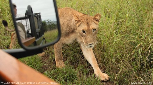 20140306 - CS1_2452 - E2 - THANDA