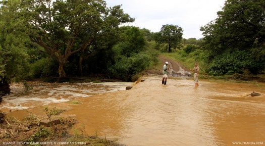 20140309 - CS3_5188 - E - THANDA