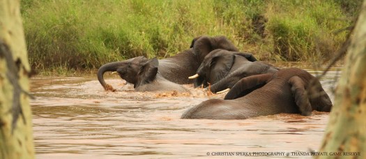 20140312 - CS2_0220 - E