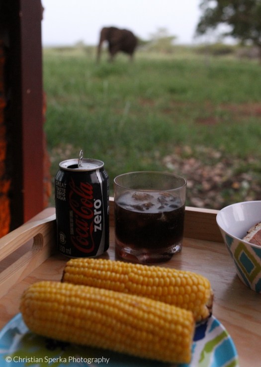 20140319 - CS3_9883 - E