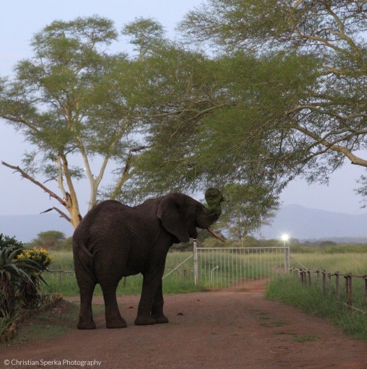 20140319 - CS3_9895 - E