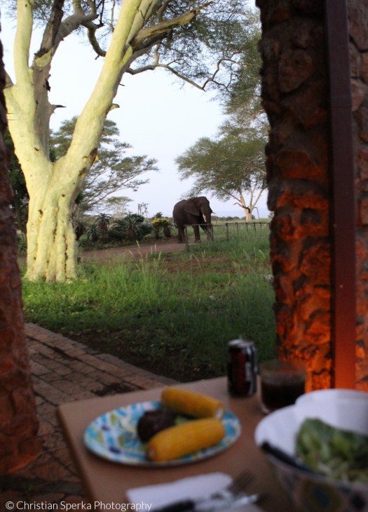 20140319 - CS3_9919 - E