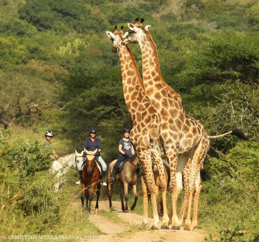 20140324 - CS1_0384 - E