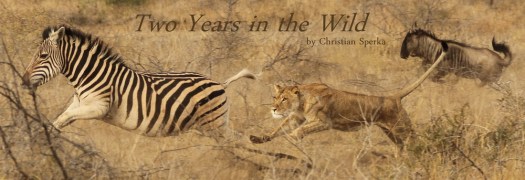 Two Years in the Wild - Letter