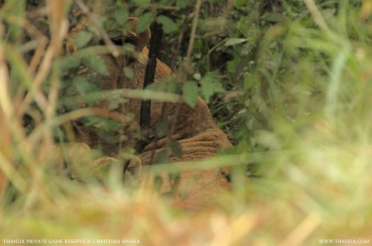 20140409 - CS1_6971 - E