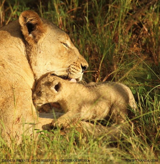 20140409 - CS1_7116 - E