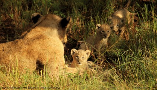 20140409 - CS1_7184 - E