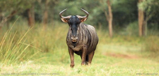 20140424 - CS2_6922 - E