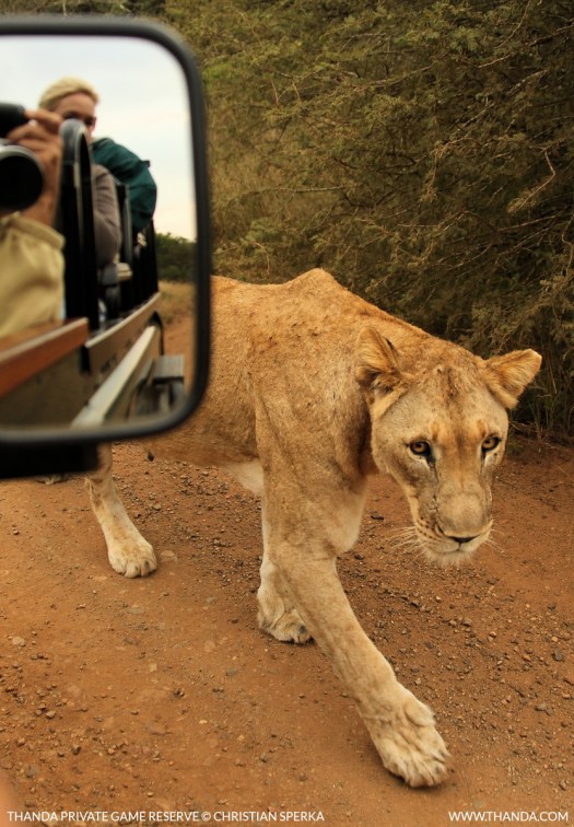 20140504 - CS2_8713 - E