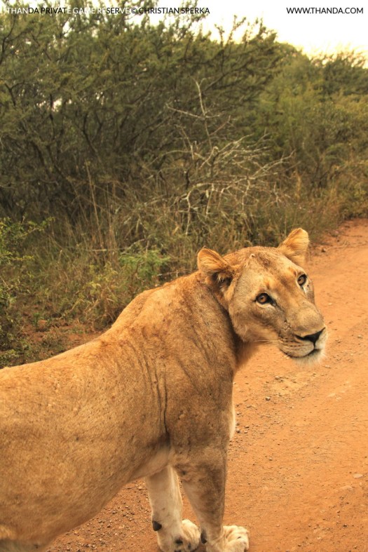 20140504 - CS2_8714 - E