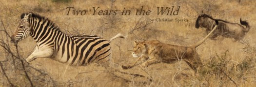 Two Years in the Wild - FULL SIZE