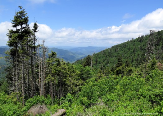 20140610 - IMG_0137 - E