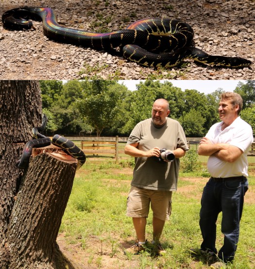 20140614 - IA0_1758 - E