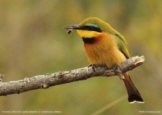 20120623 - CS1_9776 - E