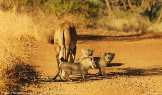 20140703 - CS1_0246 - E