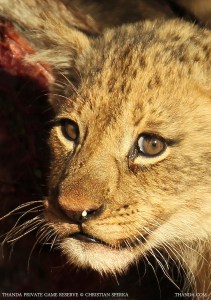 20140703 - CS1_0354 - E_2