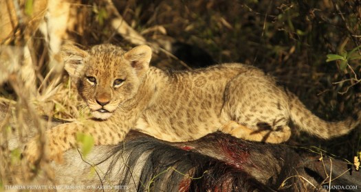 20140703 - CS1_0358 - E