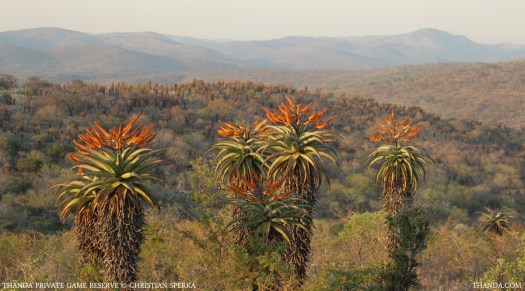 20140704 - CS1_0497 - E