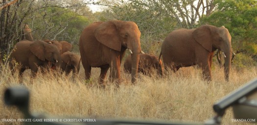 20140705 - CS1_0642 - E