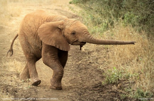 20140705 - CS1_0655 - E_1