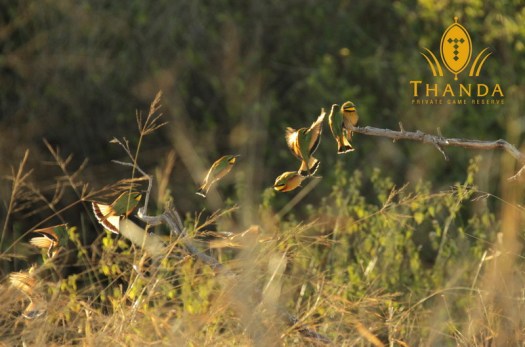 20140708 - CS0_1702 - E