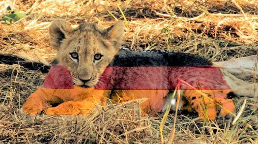 20140712 - CS1_2800 - G