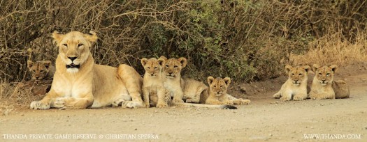 20140713 - CS1_3326 - E