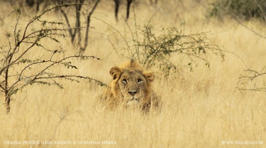 20140713 - CS1_3341 - E