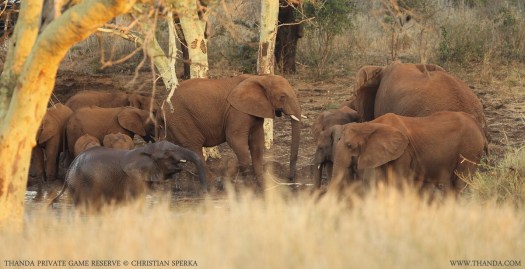 20140716 - CS3_9906 - E