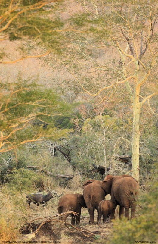 20140716 - CS3_9928 - E