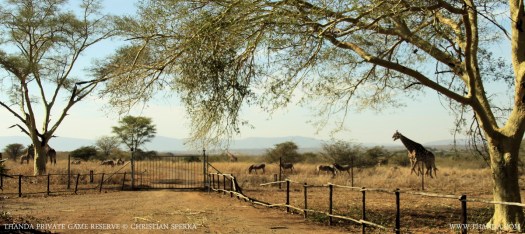 20140718 - CS1_3407 - E