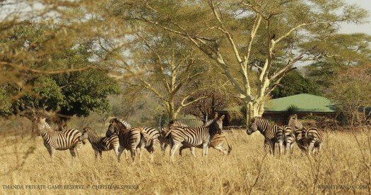 20140718 - CS1_3422 - E