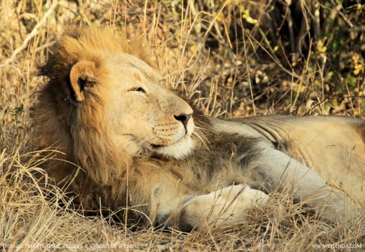 20140730 - CS1_4750 - E