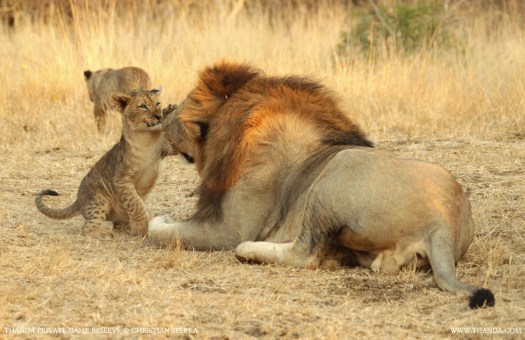 20140731 - CS1_4978 - E_1