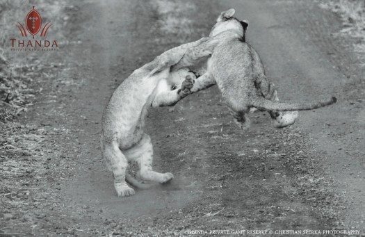 20140807 - CS1_6314 - E - Christian Sperka Photography