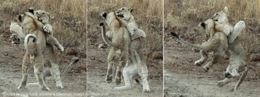 20140824 - CS0_1825- E