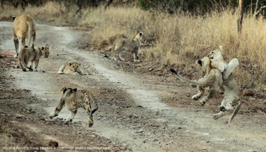 20140824 - CS1_8966 - E