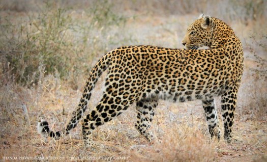 20110705 - CS1_3014 - E2