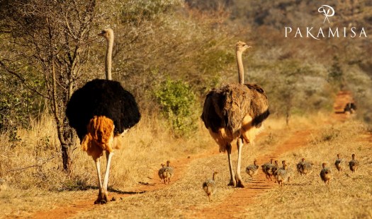 20140904 - CS1_0143 - E