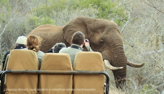 20140912 - CS1_1349 - E